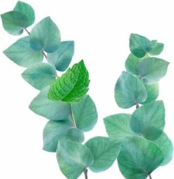 Kneipp Refreshing - Badschuim -Verzorgingsproducten 1169x1200 2