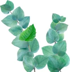 Kneipp Refreshing - Douche Foam -Verzorgingsproducten 1169x1200