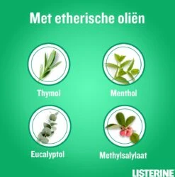LISTERINE Clean & Fresh, Mondwater Met Essentiële Oliën En Fluoride, Zonder Alcohol, Bereikt De Plaatsen Die De Tandenborstel Mist – Zelfs Tussen De Beugel, 3 X 500 Ml -Verzorgingsproducten 1186x1200 11