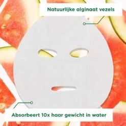 Garnier SkinActive Ampul Sheet Mask Met Watermeloen & Hyaluronzuur Gezichtsmasker - 5 Stuks -Verzorgingsproducten 1200x1200 1084