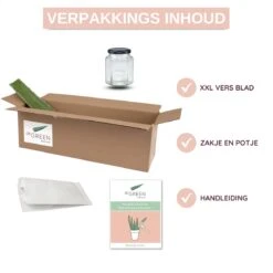 Dr. Green® 1x- Aloë Vera Blad - MAAK GEL IN 3 MINUTEN - 100% Puur - Biologisch -Verzorgingsproducten 1200x1200 113