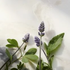 RITUALS The Ritual Of Namaste Glow Anti-Ageing Night Cream Refill - 50 Ml -Verzorgingsproducten 1200x1200 1138