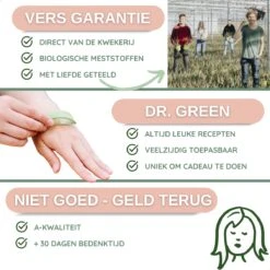 Dr. Green® 1x- Aloë Vera Blad - MAAK GEL IN 3 MINUTEN - 100% Puur - Biologisch -Verzorgingsproducten 1200x1200 117