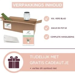 Dr. Green® 1x- Aloë Vera Blad - MAAK GEL IN 3 MINUTEN - 100% Puur - Biologisch -Verzorgingsproducten 1200x1200 118