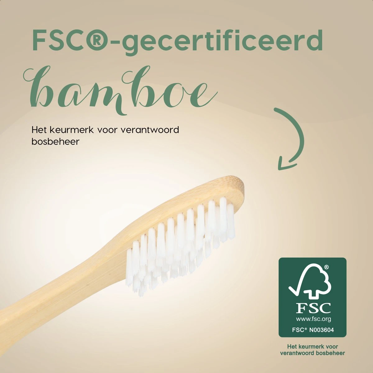NATURE’S Groove® Bamboe Tandenborstel - Houten Tandenborstel Soft - 8 Stuks - Handmatig 3 NATURE’S Groove® Bamboe Tandenborstel - Houten Tandenborstel Soft - 8 Stuks - Handmatig - Afbeelding 3