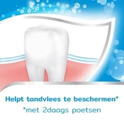 Aquafresh Freshmint - Tandpasta - Voor Een Frisse Adem - Voordeelverpakking - Recyclebare Plastic Tube En Dop -5 X 75ml 19 Aquafresh Freshmint - Tandpasta - Voor Een Frisse Adem - Voordeelverpakking - Recyclebare Plastic Tube En Dop -5 X 75ml -Verzorgingsproducten 1200x1200 1404