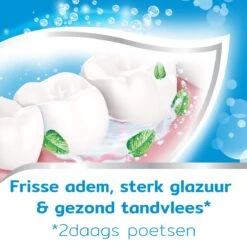 Aquafresh Freshmint - Tandpasta - Voor Een Frisse Adem - Voordeelverpakking - Recyclebare Plastic Tube En Dop -5 X 75ml 20 Aquafresh Freshmint - Tandpasta - Voor Een Frisse Adem - Voordeelverpakking - Recyclebare Plastic Tube En Dop -5 X 75ml -Verzorgingsproducten 1200x1200 1405