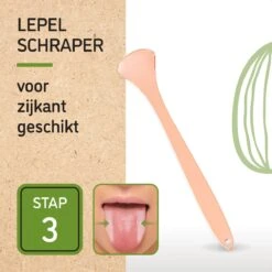 Nutty Green 3-Delige Tongschraper Set Inclusief Opbergcase - Tongreiniging Mondverzorging - Tongreiniger Mondhygiëne - RVS Schraper Voor Schone Tong Reiniging - Tongborstel Tegen Slechte Adem - Zero Waste Lifestyle -Verzorgingsproducten 1200x1200 1551