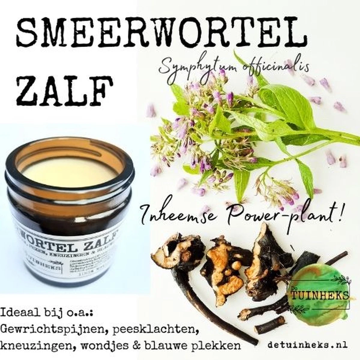 Smeerwortel Zalf 60 Ml, Handgemaakte Smeerwortelzalf 3 Smeerwortel Zalf 60 Ml, Handgemaakte Smeerwortelzalf - Afbeelding 3