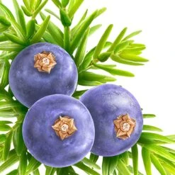 Kneipp Muscle Soothing - Douchegel -Verzorgingsproducten 1200x1200 269