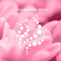 Veet - Ontharingsstrips - Bikinilijn & Oksels - Gevoelige Huid - 16 Stuks 16 Veet - Ontharingsstrips - Bikinilijn & Oksels - Gevoelige Huid - 16 Stuks -Verzorgingsproducten 1200x1200 637