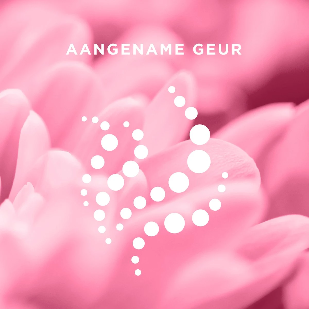 Veet Ontharingsstrips - Gezicht - Hypoallergene Minima - 20 Stuks 4 Veet Ontharingsstrips - Gezicht - Hypoallergene Minima - 20 Stuks - Afbeelding 4