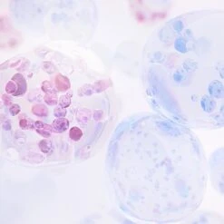 NIVEA CELLular Anti-Age - 15 Ml - Oogcrème 15 NIVEA CELLular Anti-Age - 15 Ml - Oogcrème -Verzorgingsproducten 1200x1200 963