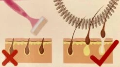 Epileerveer Kleur Lila - RVS - Epileer-veer - Gezichtshaar - Gezichtshaar Verwijderen -Verzorgingsproducten 1200x672