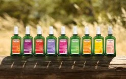 Weleda Lavendel Ontspannende Body Olie -Verzorgingsproducten 1200x758 1