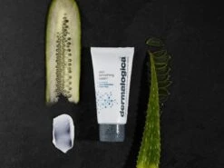 Dermalogica Skin Smoothing Cream 2.0 - Dagcrème - 100 Ml -Verzorgingsproducten 1200x900 1