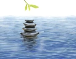 Kneipp Me-Time - Douche Foam 8 Kneipp Me-Time - Douche Foam -Verzorgingsproducten 1200x921