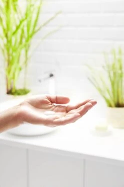 Garnier Bio Dagcrème - 50 Ml - Normale Tot Gemengde Huid - Verfrissend Citroengras 20 Garnier Bio Dagcrème - 50 Ml - Normale Tot Gemengde Huid - Verfrissend Citroengras -Verzorgingsproducten 800x1200 11