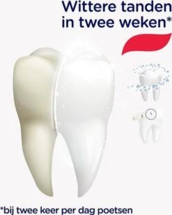 Prodent Whitening System Tandpasta - 12 X 75 Ml - Voordeelverpakking -Verzorgingsproducten 963x1200 2