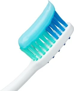 Meridol Tandenborstel Zacht - 3 Stuks - Voordeelverpakking -Verzorgingsproducten 982x1200 4